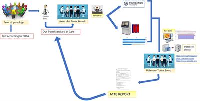 The molecular tumor board as a step in cancer patient management: a southern Italian experience